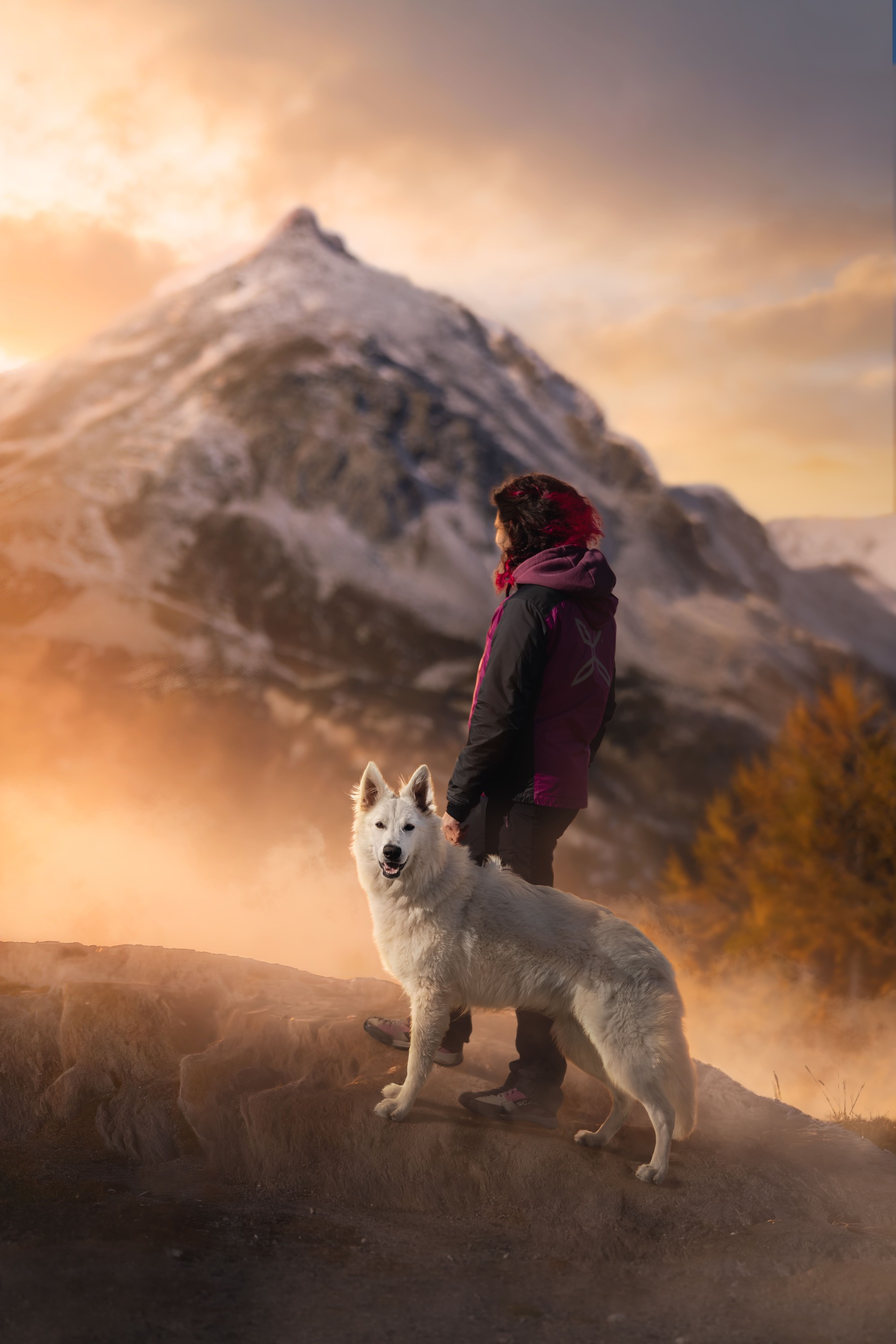 Viaggi dog friendly con BauScia Trip