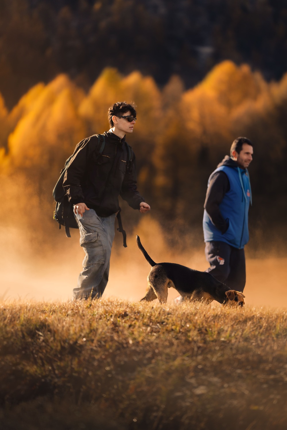 Strutture ricettive a misura di cane