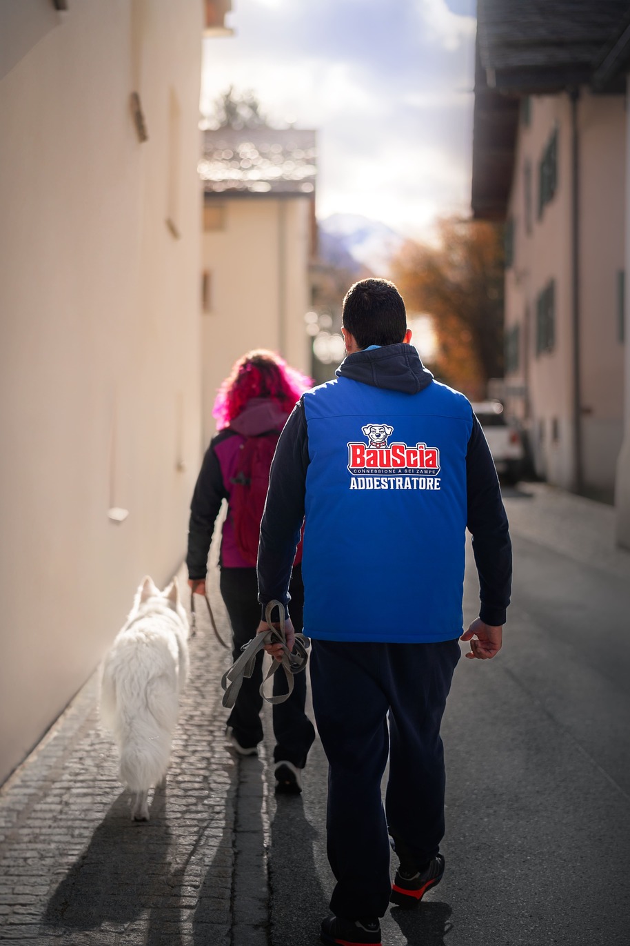 Educazione cinofila e camminate con BauScia
