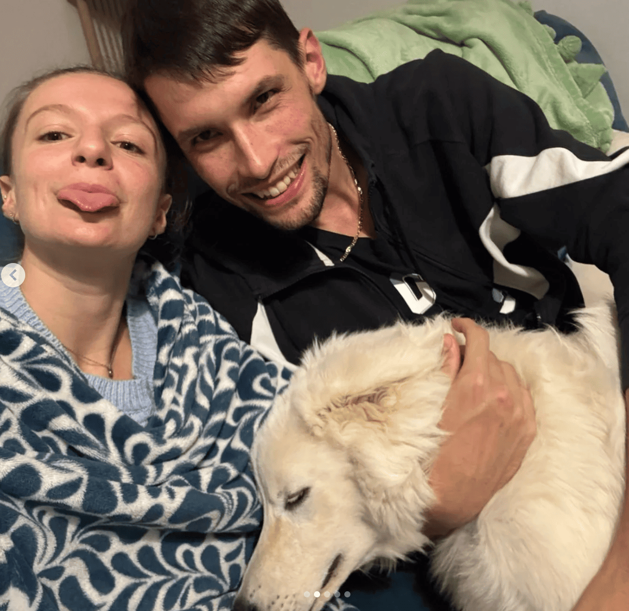 Supporto in canili e luoghi di adozione