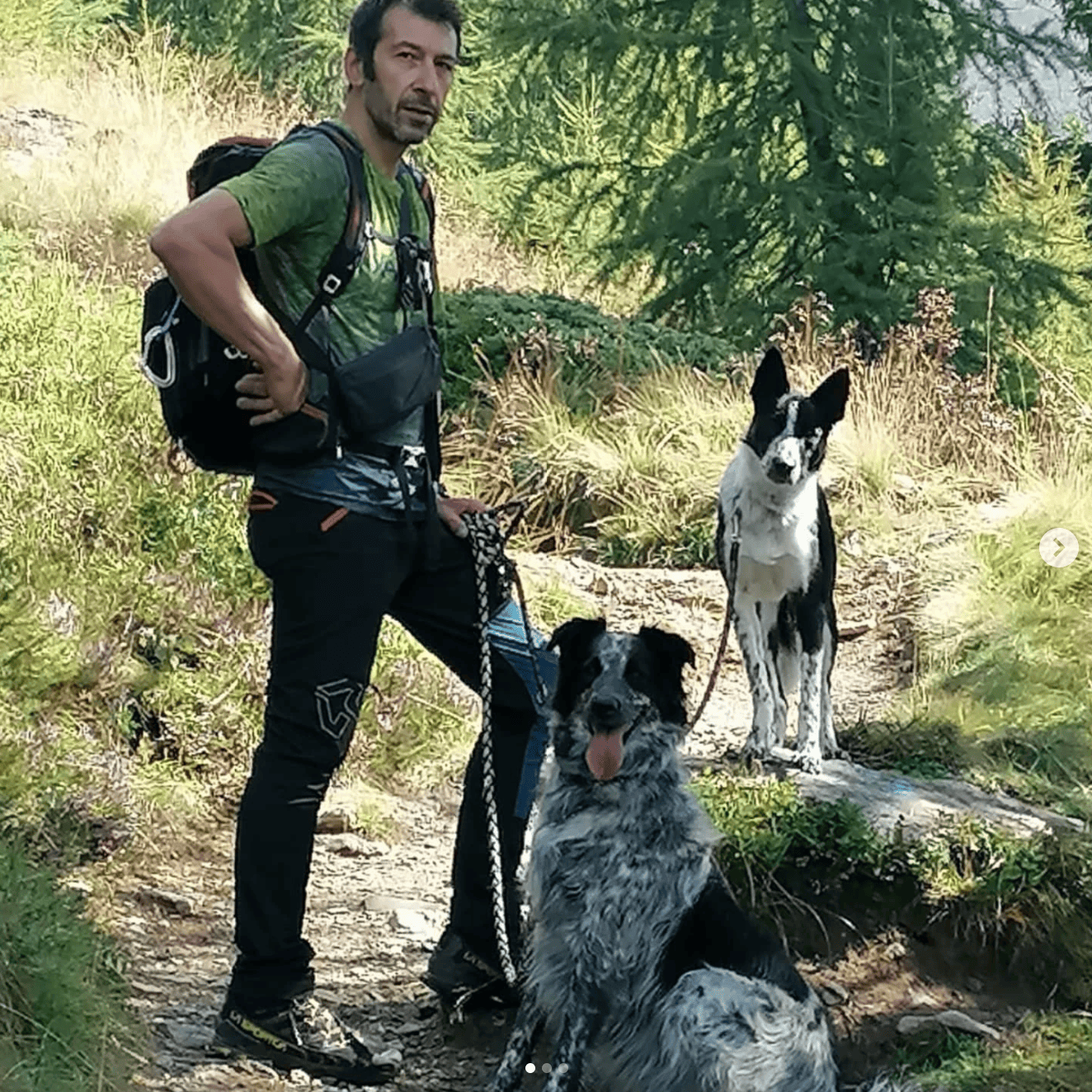 Dog sitter e uscite all'aperto
