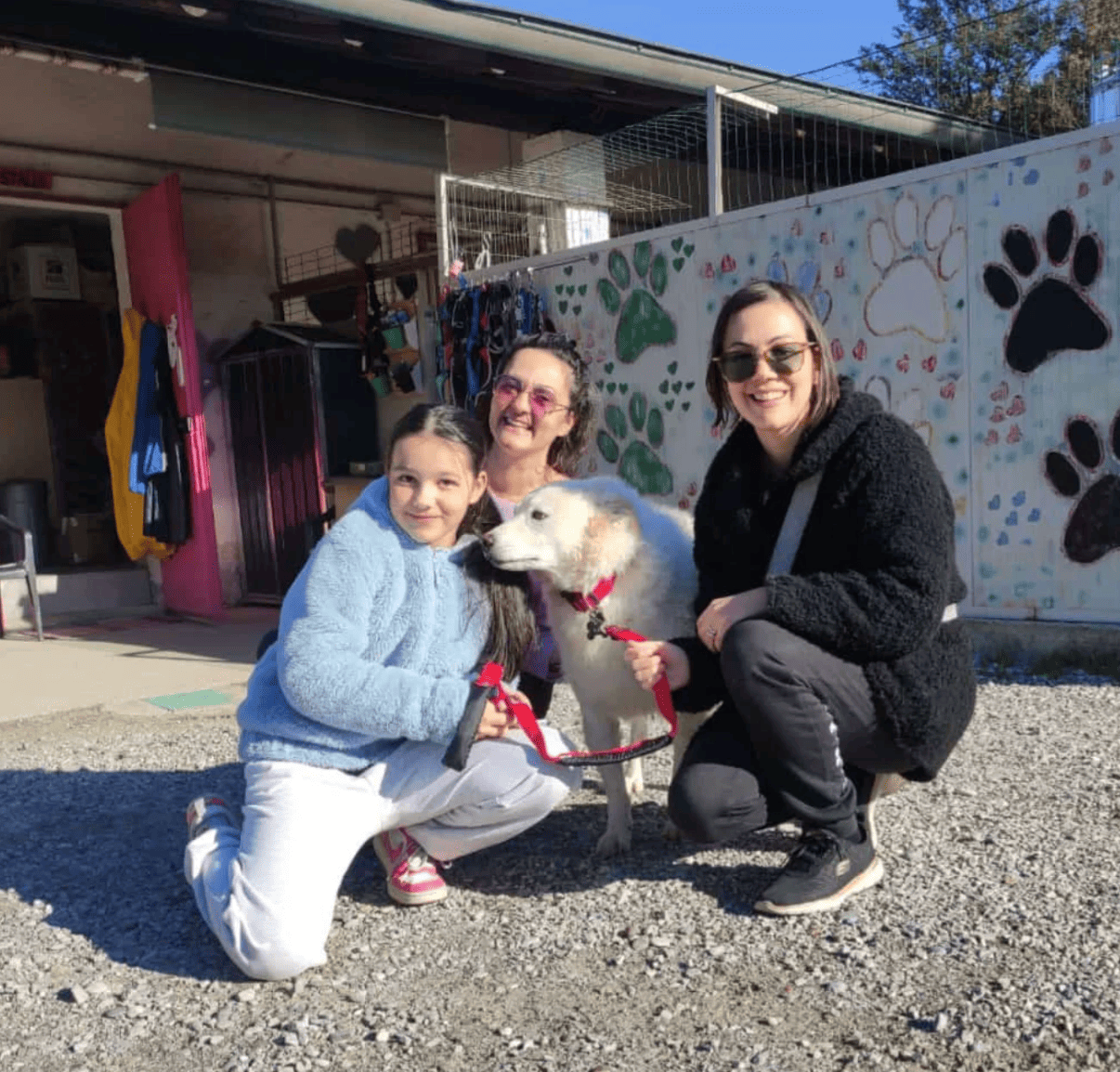 Accompagnamento pre e post adottivo con BauScia