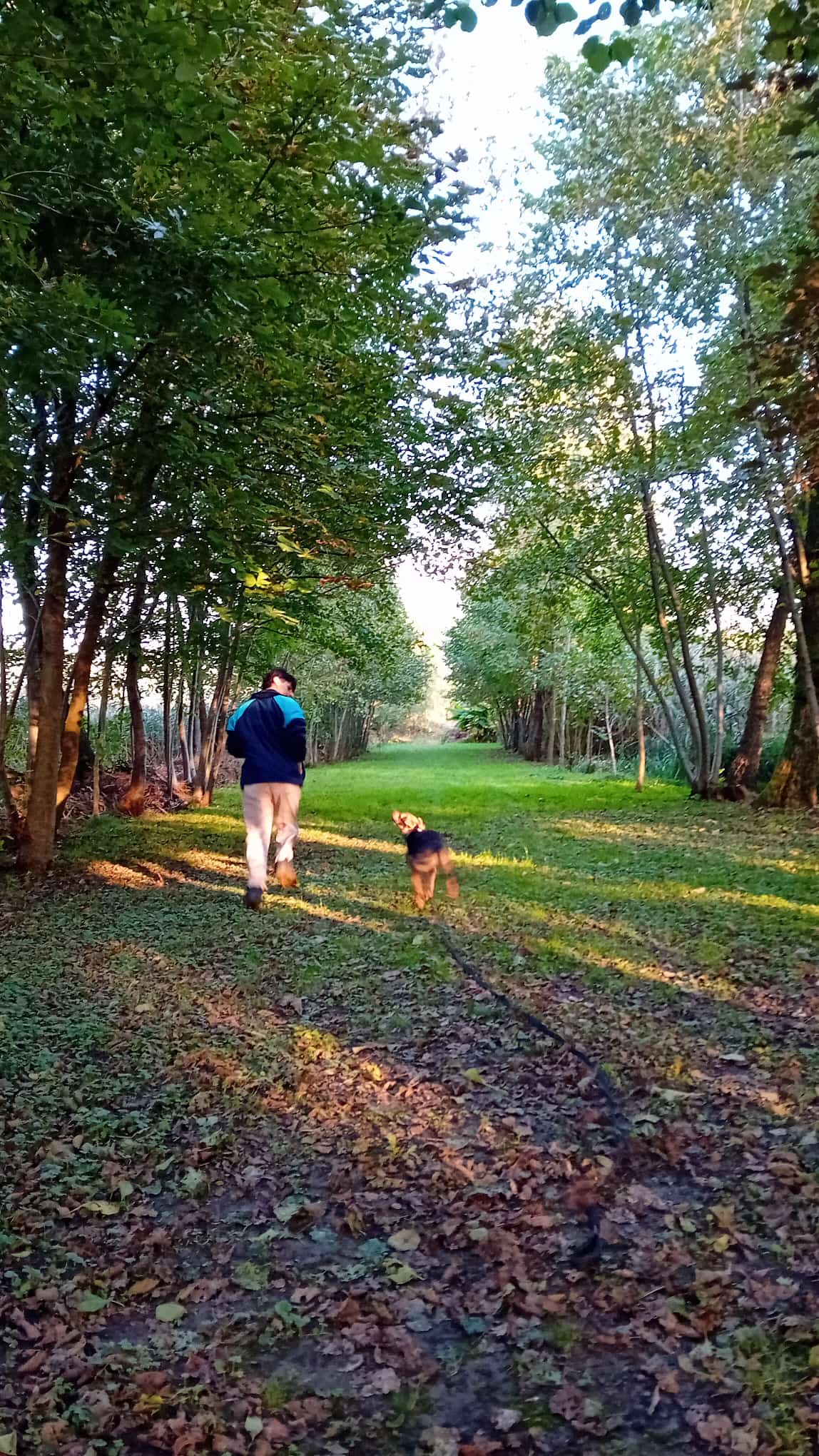 Andrea educatore cinofilo con un cane